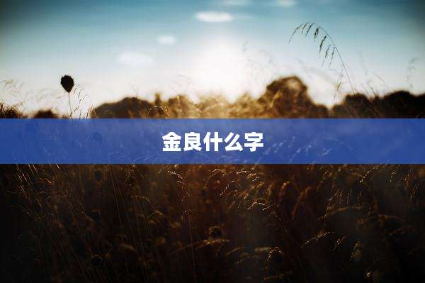 金良什么字