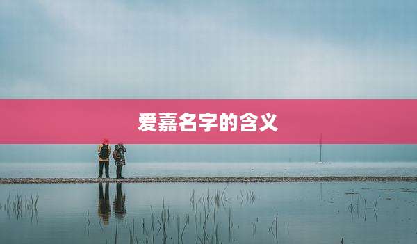 爱嘉名字的含义