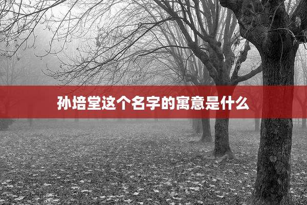 孙培堂这个名字的寓意是什么