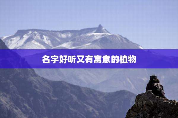 名字好听又有寓意的植物
