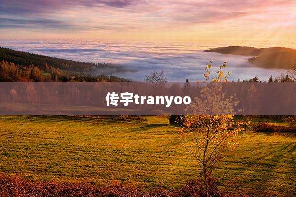 传宇tranyoo