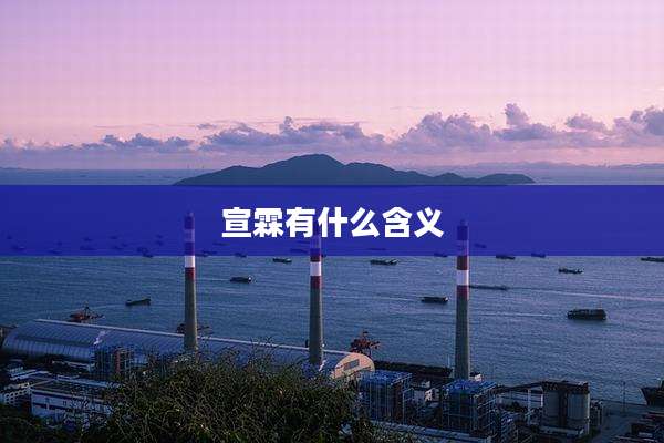 宣霖有什么含义