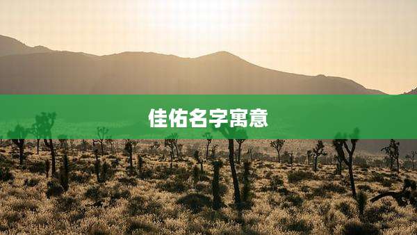 佳佑名字寓意