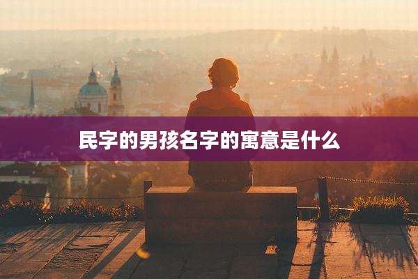民字的男孩名字的寓意是什么