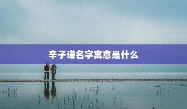 辛子谦名字寓意是什么