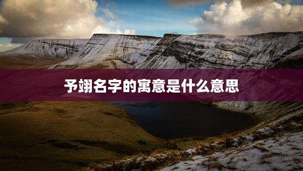 予翊名字的寓意是什么意思