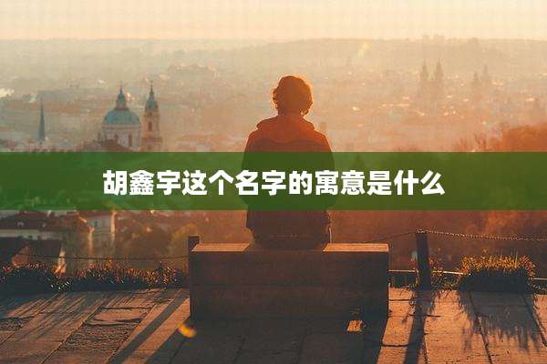 胡鑫宇这个名字的寓意是什么