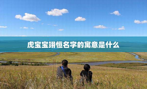 虎宝宝翊恒名字的寓意是什么