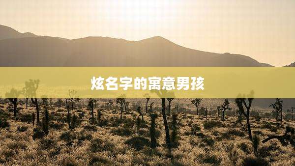 炫名字的寓意男孩
