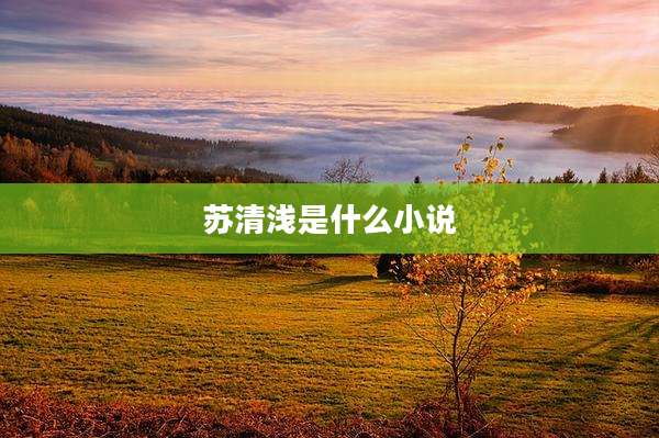 苏清浅是什么小说
