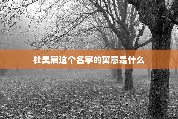 杜昊宸这个名字的寓意是什么