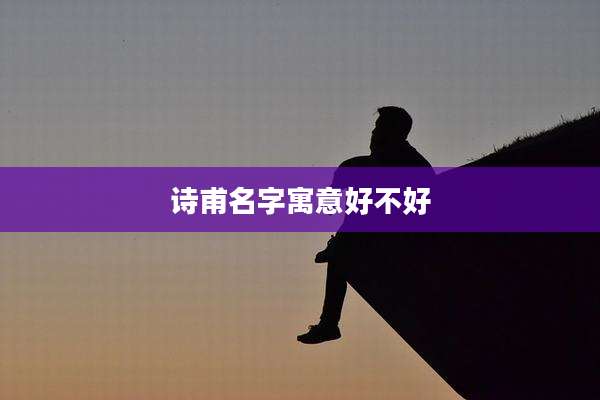 诗甫名字寓意好不好