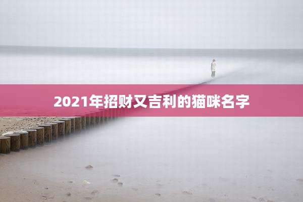 2021年招财又吉利的猫咪名字