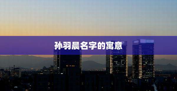 孙羽晨名字的寓意