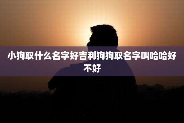 小狗取什么名字好吉利狗狗取名字叫哈哈好不好