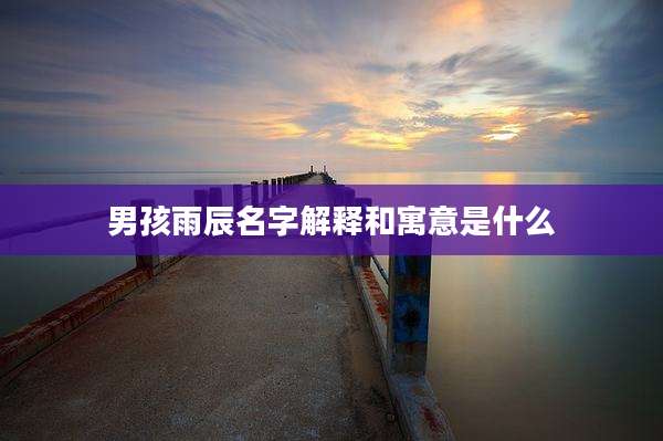 男孩雨辰名字解释和寓意是什么