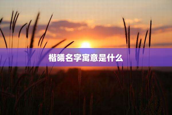 楷曦名字寓意是什么