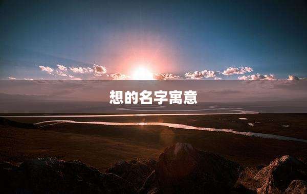 想的名字寓意