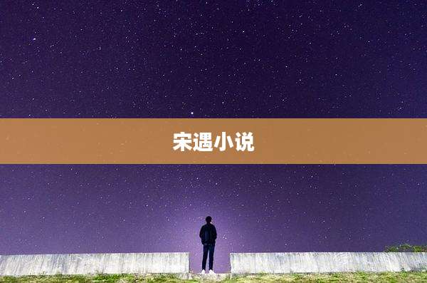 宋遇小说