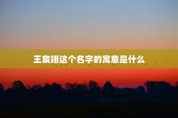 王宸翊这个名字的寓意是什么
