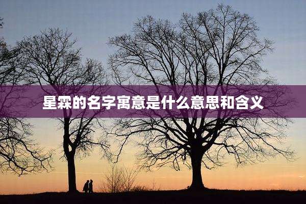 星霖的名字寓意是什么意思和含义