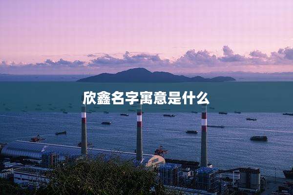 欣鑫名字寓意是什么