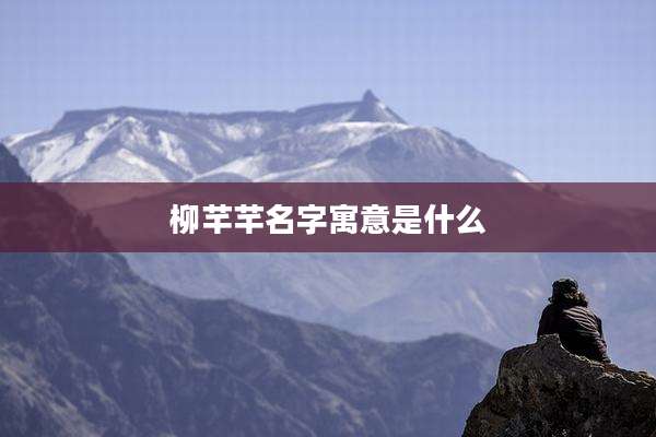 柳芊芊名字寓意是什么