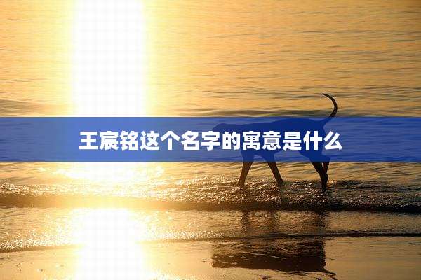 王宸铭这个名字的寓意是什么