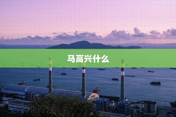 马高兴什么
