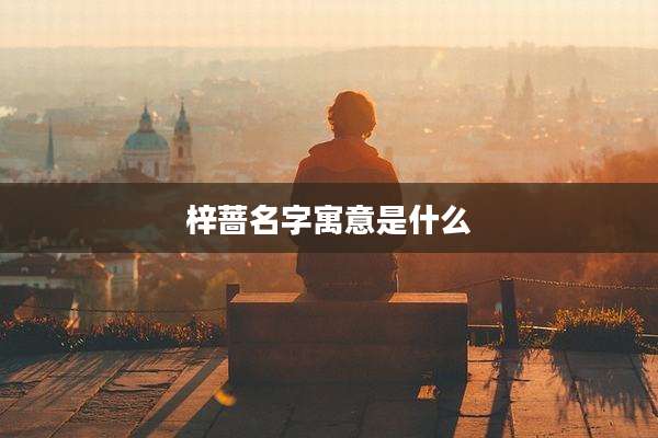 梓蔷名字寓意是什么