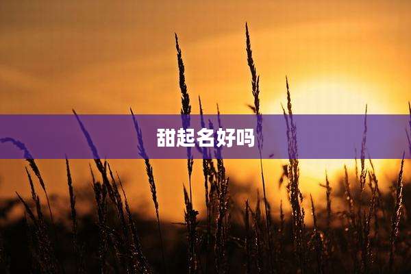 甜起名好吗