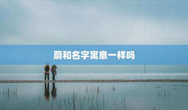 蔚和名字寓意一样吗