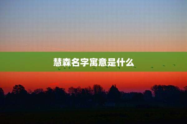 慧森名字寓意是什么