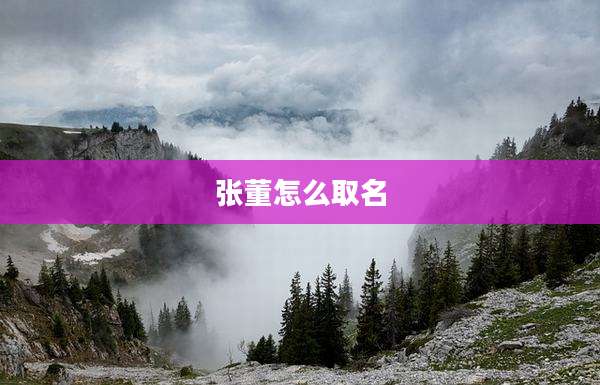 张董怎么取名