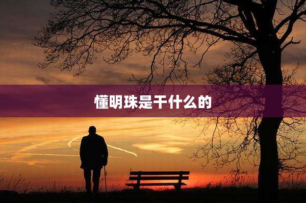 懂明珠是干什么的