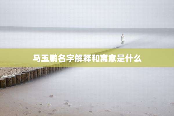 马玉鹏名字解释和寓意是什么
