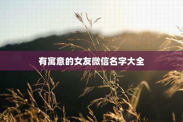 有寓意的女友微信名字大全