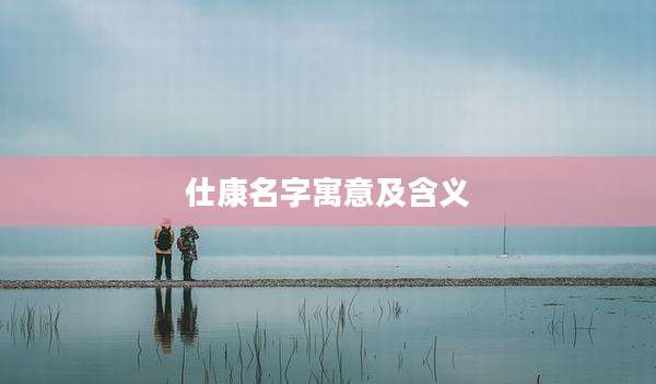 仕康名字寓意及含义