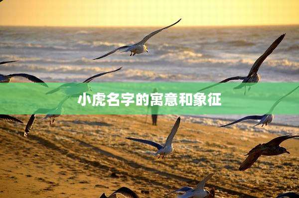 小虎名字的寓意和象征