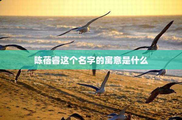 陈蓓睿这个名字的寓意是什么