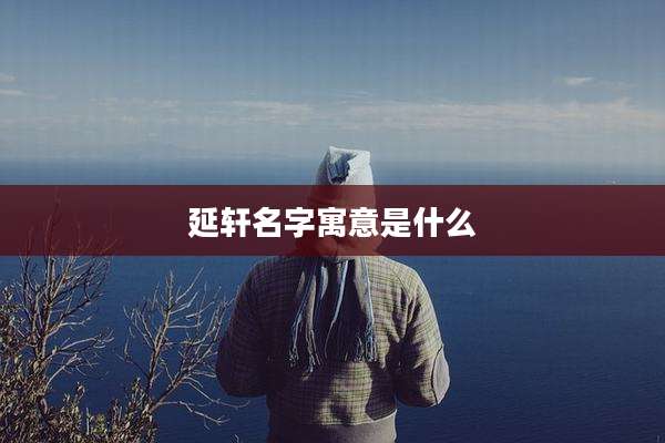 延轩名字寓意是什么