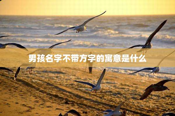男孩名字不带方字的寓意是什么