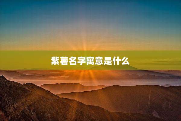 紫薯名字寓意是什么