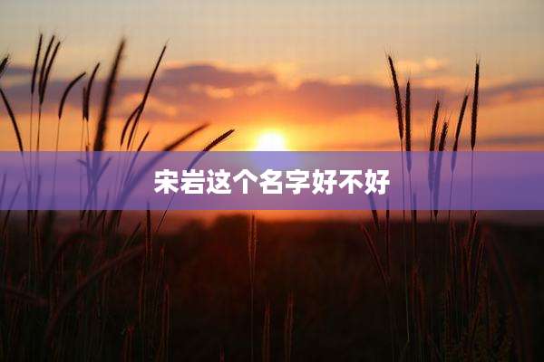 宋岩这个名字好不好