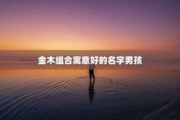 金木组合寓意好的名字男孩
