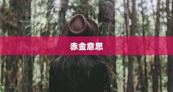 赤金意思