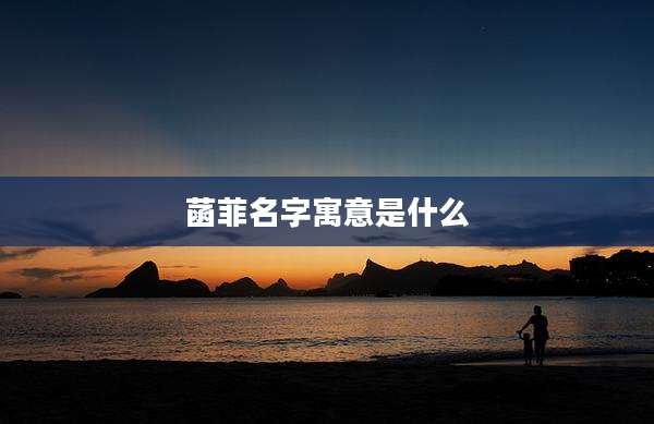 菡菲名字寓意是什么