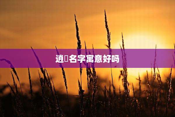 逍飏名字寓意好吗