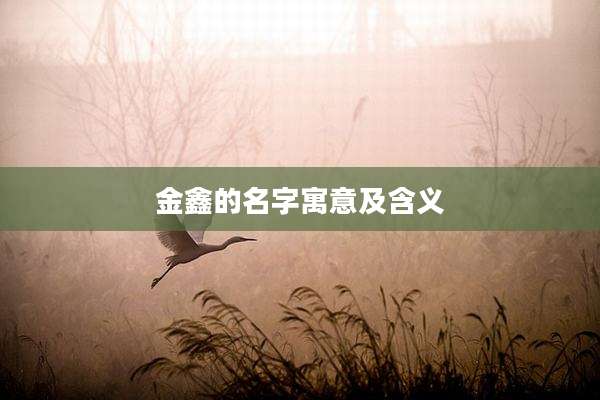 金鑫的名字寓意及含义
