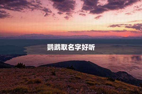 鹦鹉取名字好听